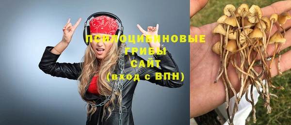 хмурый Абинск
