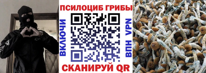 где продают   blacksprut ONION  Галлюциногенные грибы Psilocybine cubensis  Альметьевск 